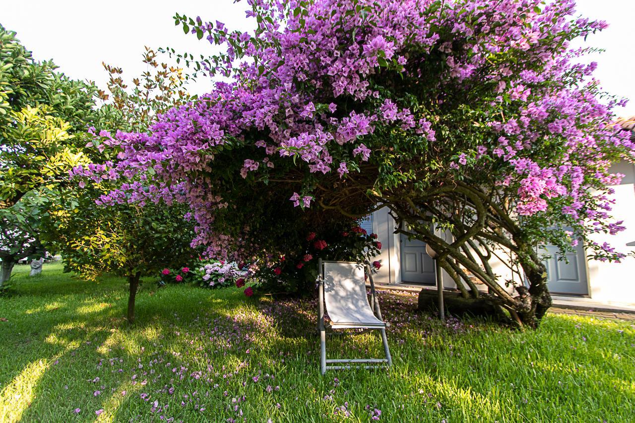 Villa Hermes San Ferdinando Exterior photo